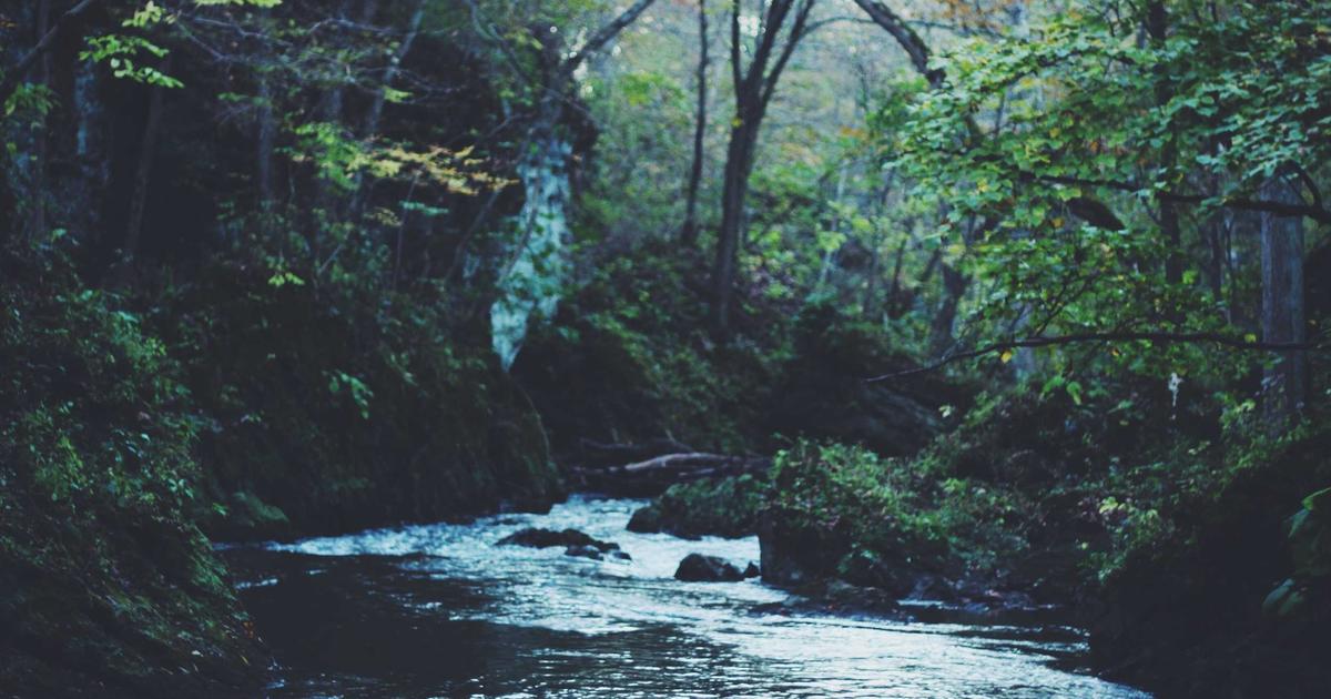 Beyond the Delivery: How to Explore a New City Through Local Guides and Unique Adventures